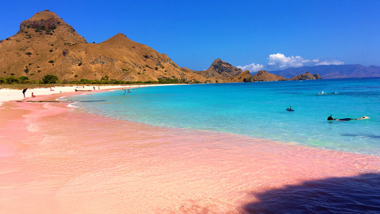 open trip pulau komodo